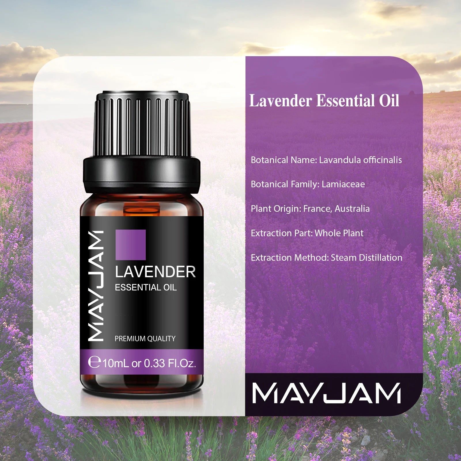 Soluna Premium Aromatherapy Essential Oils (10ml)