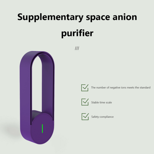 Divine Ion Air Cleansing Plug